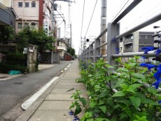 サンコーポラス等々力　尾山台駅周辺