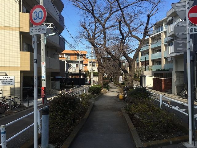 シャンボール柿の木坂　周辺環境