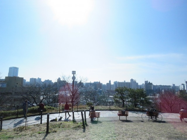 セブンスターマンション東山　西郷山公園