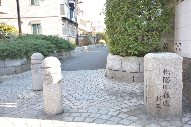 ラヴェンナ高円寺　緑道