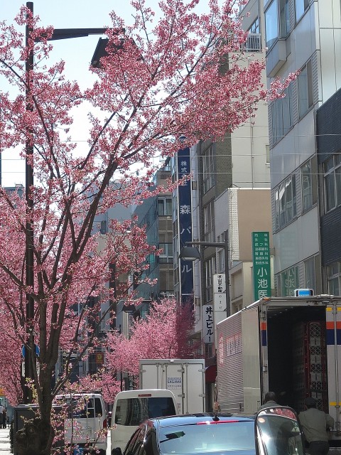 パークハイツ日本橋　周辺