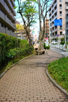 アフェクシオン南烏山　遊歩道