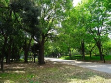 馬事公苑前住宅　きぬた公園