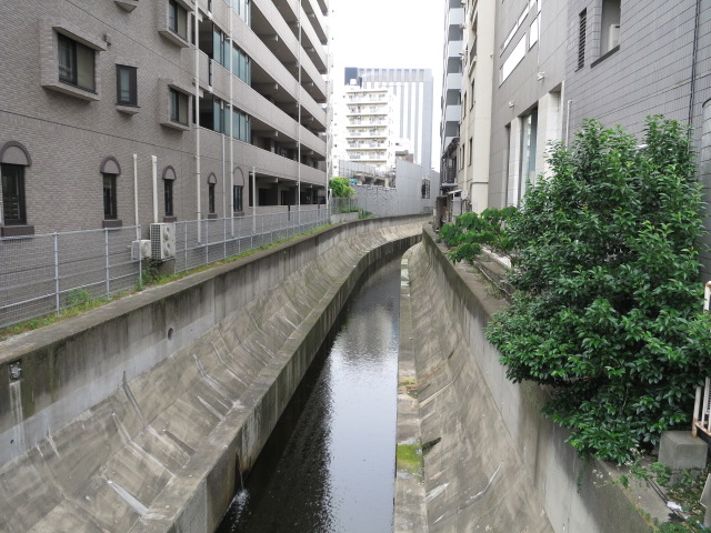 常磐松サマリヤマンション　周辺