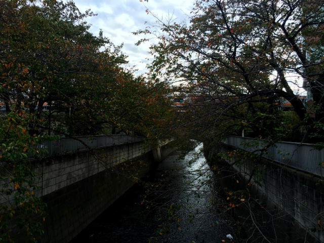 東中野マンション　周辺環境