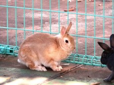 学芸大学グリーンハイツ　碑文谷公園