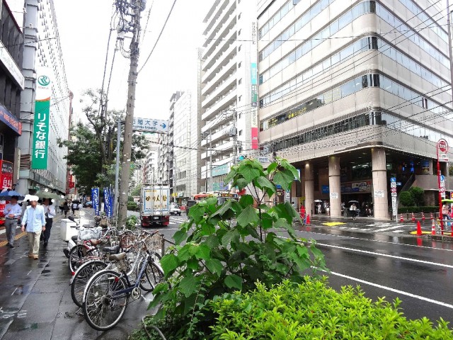 小石川ハイツ　駅前