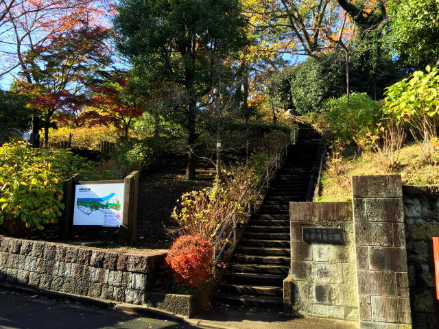 田園調布スカイハイツ　周辺環境