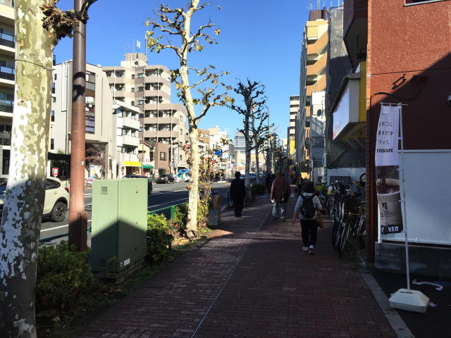 田園調布スカイハイツ　周辺環境