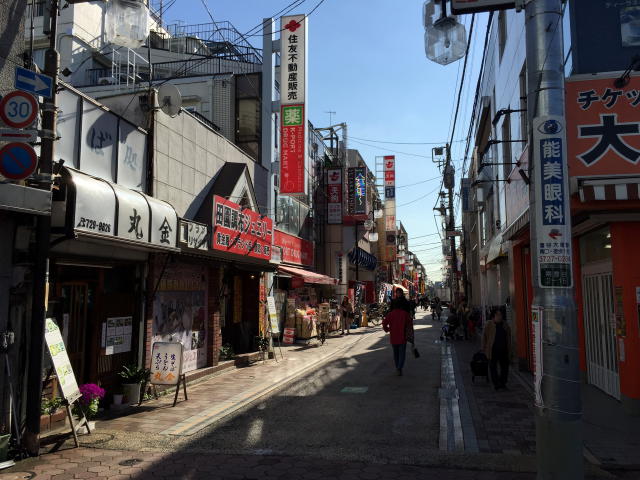 田園調布スカイハイツ　周辺環境