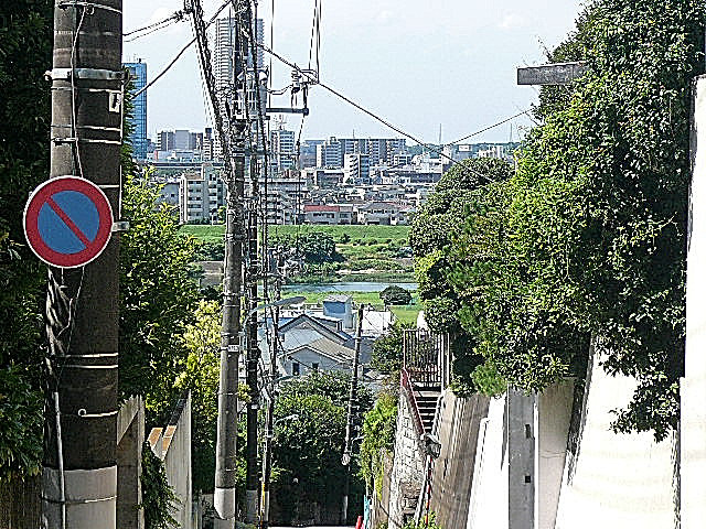 アークステージ田園調布　マンションまでの道のり