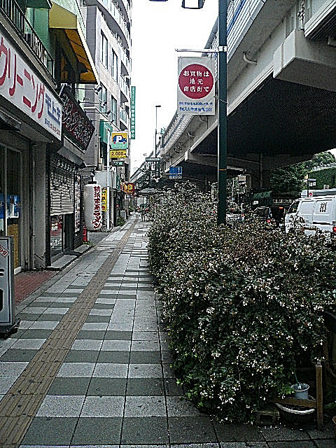 オーベル三軒茶屋　駅周辺