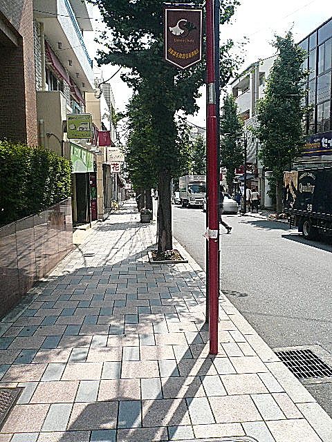 ビュラ田園調布　マンションまでの道のり