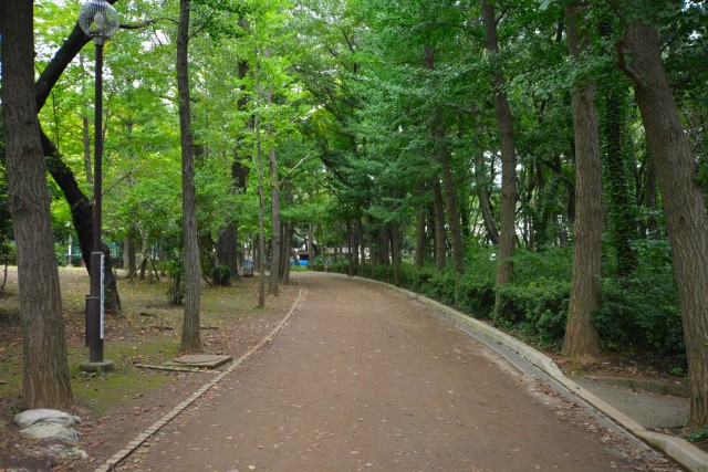 朝日プラザ梅ヶ丘　周辺