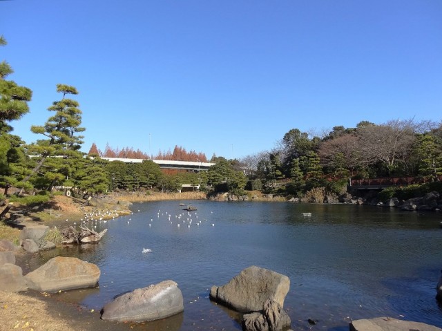 大森ハイツ　しながわ区民公園