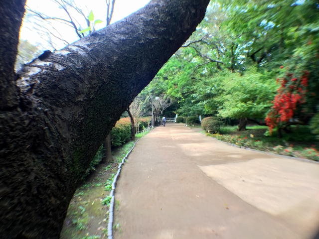 シーアイマンション駒場　周辺環境