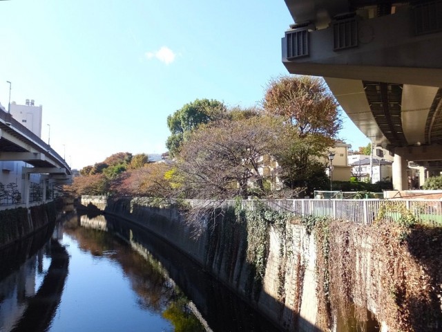 朝日江戸川橋マンション　神田川