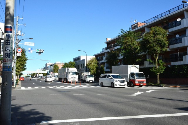 ドミシール田園　環八