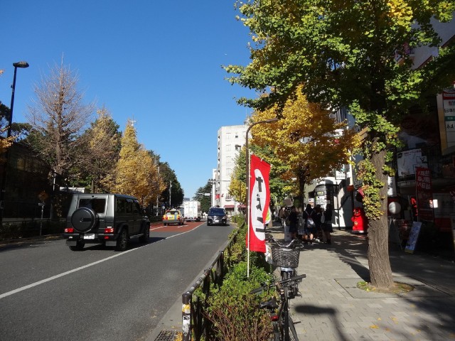 原宿第8宮庭マンション　明治通り