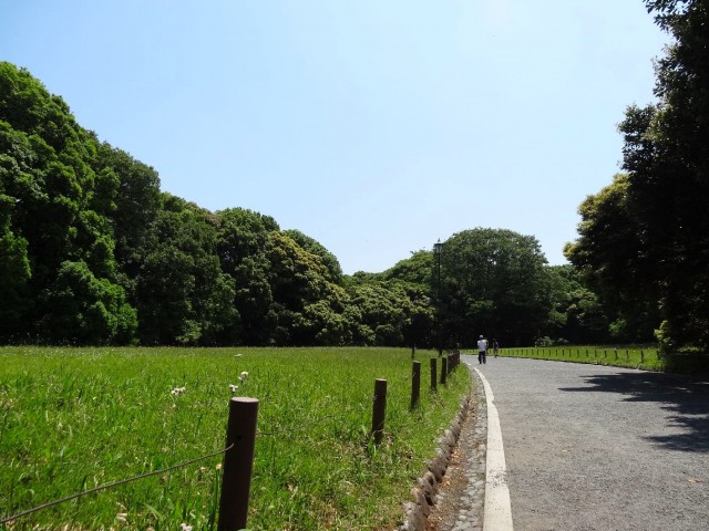 原宿第8宮庭マンション　明治神宮