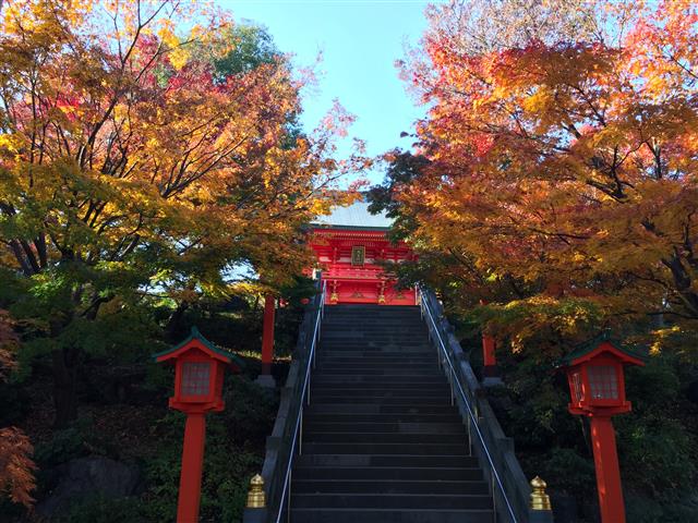 ハイライフ高田馬場　周辺環境