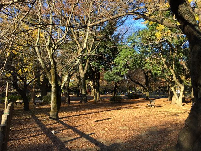 サンハイツ永福町 周辺環境