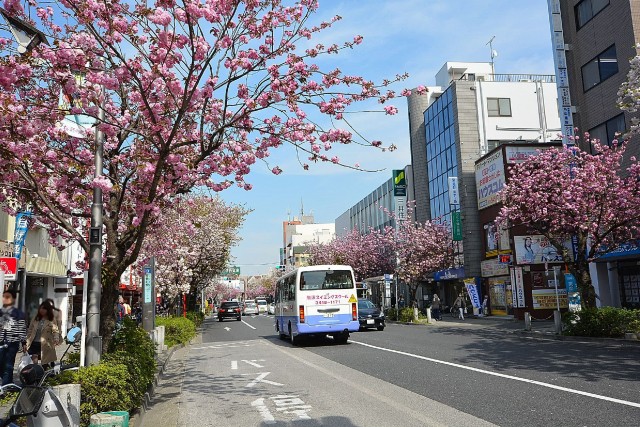 弦巻ハイツ　桜新町駅周辺