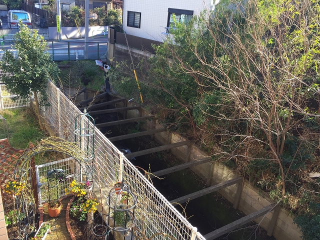 ハイホーム砧公園　眺望