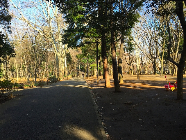 ダイアパレス目黒本町　周辺環境