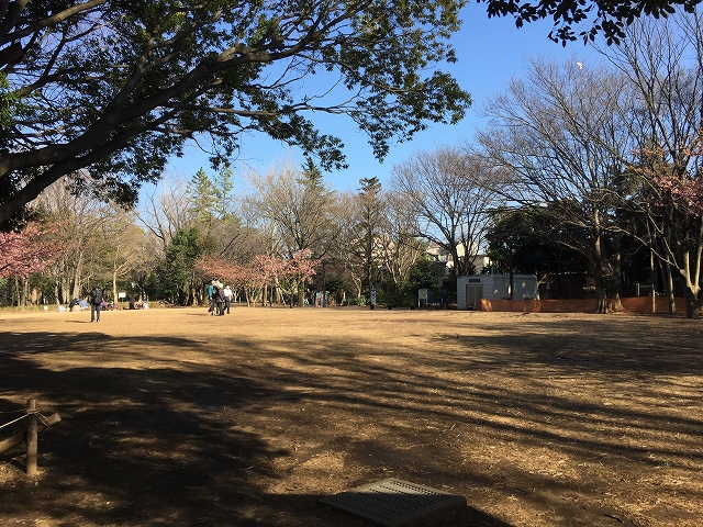 ダイアパレス目黒本町　周辺環境