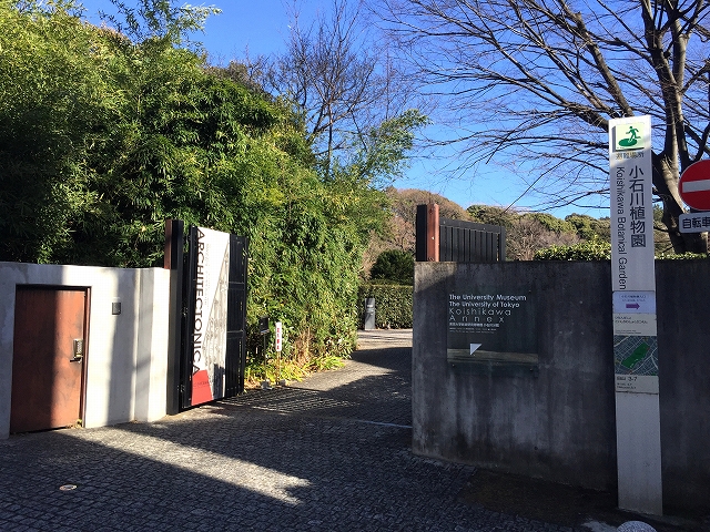 ライオンズマンション小石川植物園　周辺環境