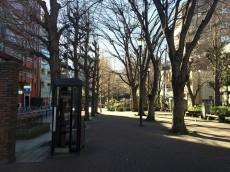 ライオンズマンション小石川植物園　周辺環境