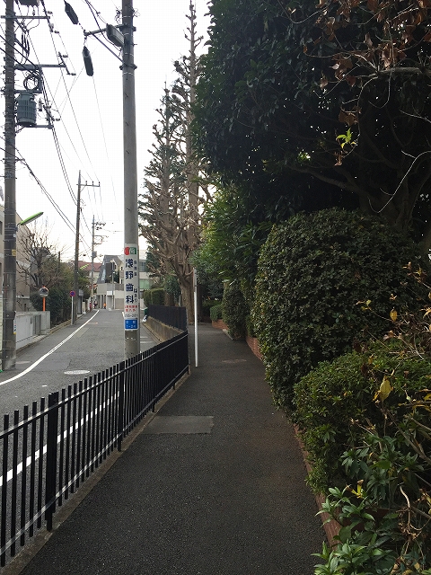 コートハウス上野毛　前面道路