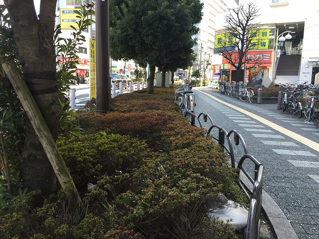 ライオンズマンション北新宿　周辺環境