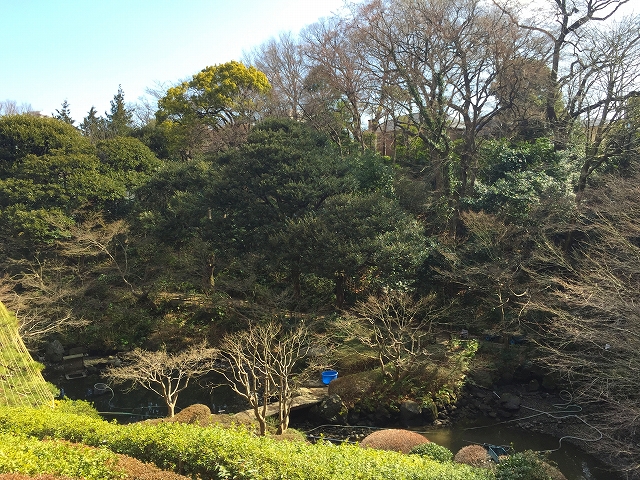 池田山ロイヤルマンション 周辺環境