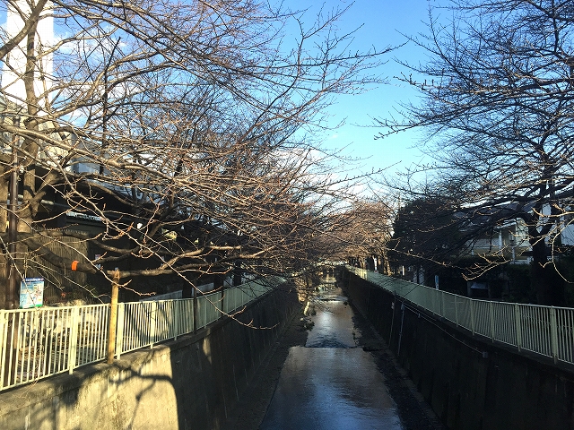 エザンス高井戸　周辺環境