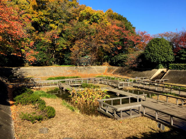 フラット田園調布　周辺環境