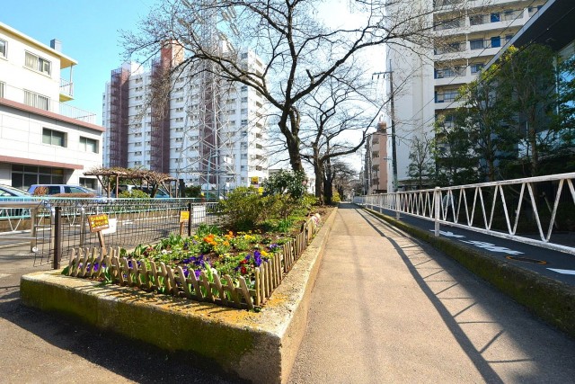 都立大グリーンパーク　マンション沿いの緑道