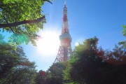 レック芝公園マンション　東京タワー