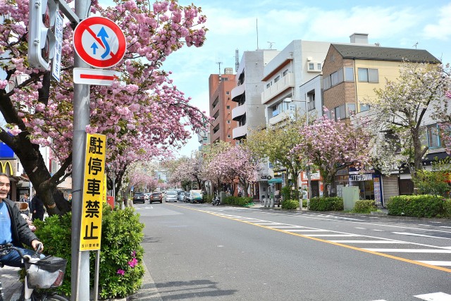 コスモス深沢　駅前通り