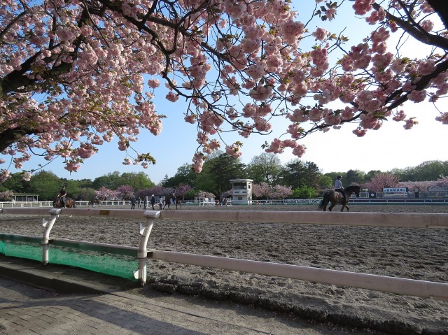 馬事公苑前ハイム　馬事公苑