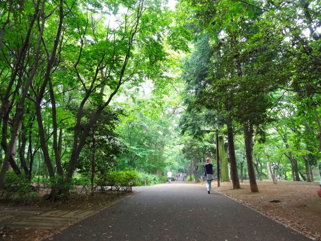 キャッスルマンション武蔵小山　林試の森公園