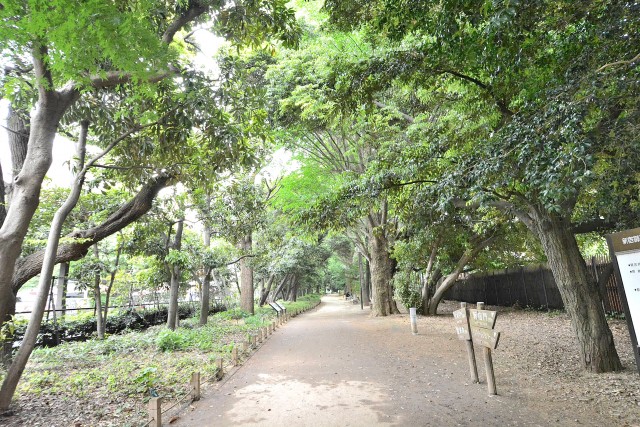 新宿内藤町ハウス　周辺