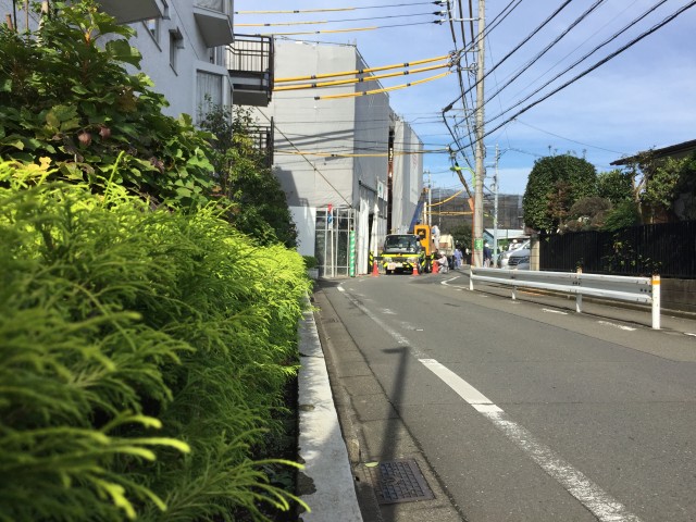 桜丘フラワーホーム　前面道路