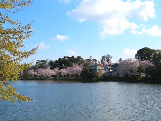 ライオンズプラザ石川台　洗足池