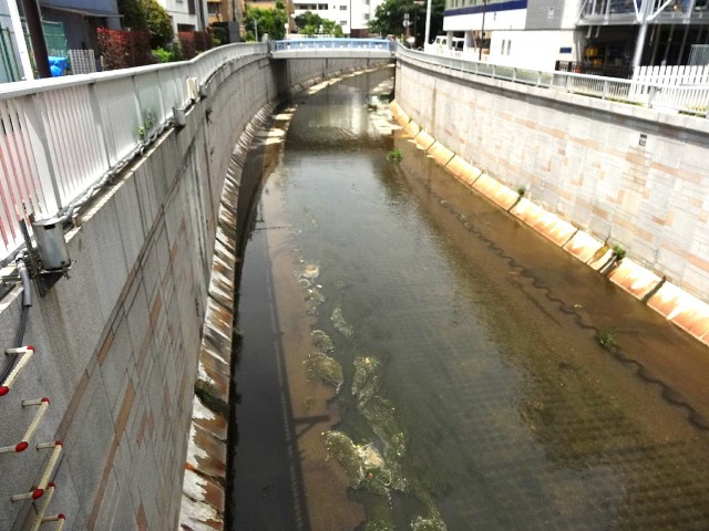 ライオンズマンション中野弥生町　周辺