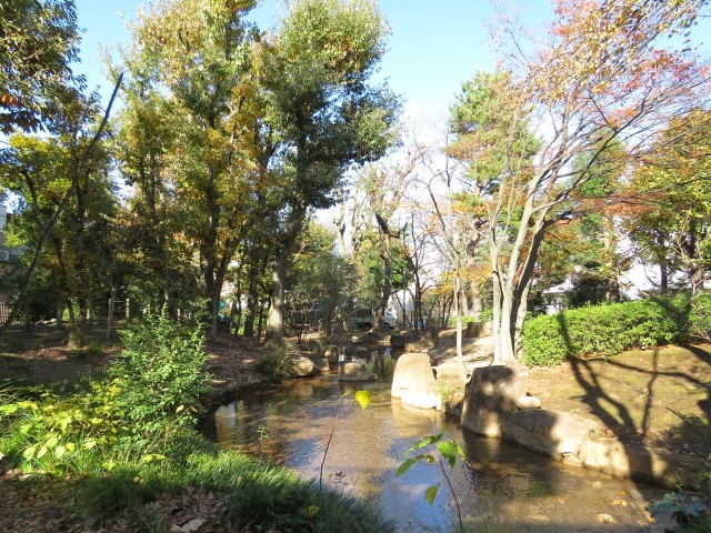 駒沢コーポラス　駒沢緑泉公園