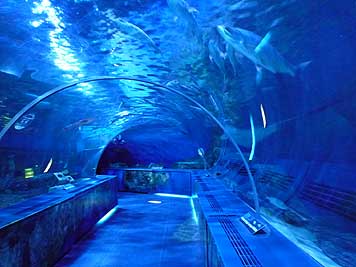 しながわ水族館