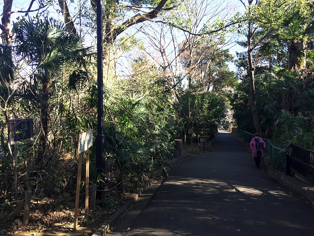 ミリオンガーデン小石川　周辺環境