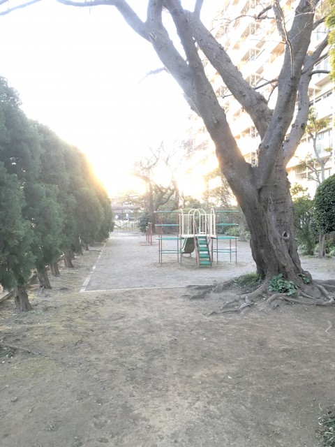 馬事公苑前ハイム 公園